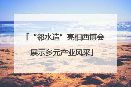 “邻水造”亮相西博会 展示多元产业风采