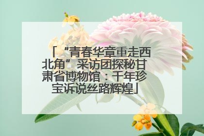 “青春华章重走西北角”采访团探秘甘肃省博物馆：千年珍宝诉说丝路辉煌