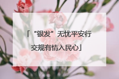 “银发”无忧平安行 交规有情入民心
