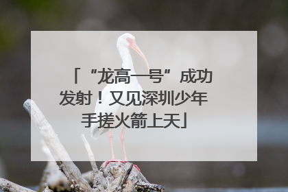 “龙高一号”成功发射！又见深圳少年手搓火箭上天