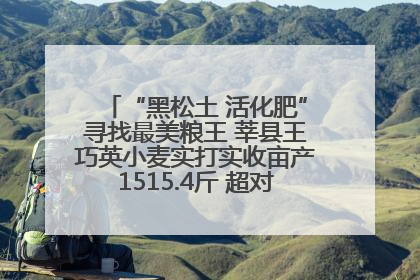 “黑松土 活化肥”寻找最美粮王 莘县王巧英小麦实打实收亩产1515.4斤 超对照田144斤！