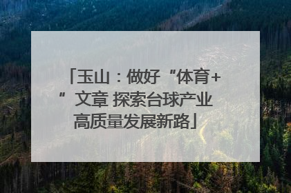 玉山：做好“体育+”文章 探索台球产业高质量发展新路