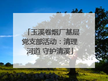 玉溪卷烟厂基层党支部活动：清理河道 守护清溪