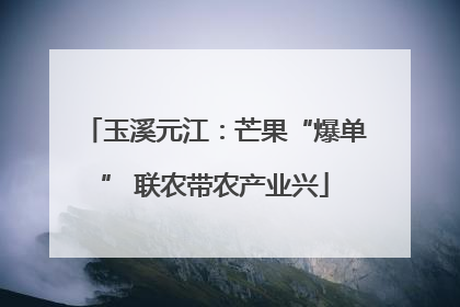 玉溪元江：芒果“爆单” 联农带农产业兴