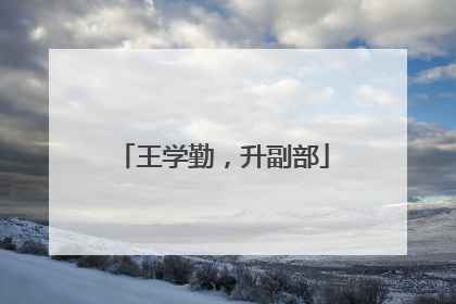 王学勤，升副部