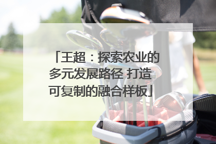 王超：探索农业的多元发展路径 打造可复制的融合样板