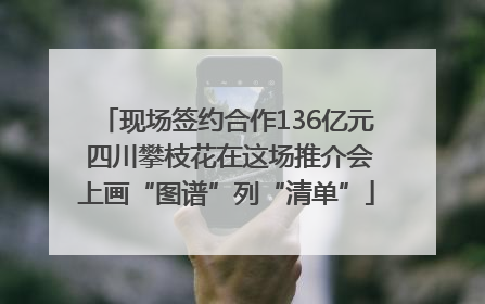 现场签约合作136亿元 四川攀枝花在这场推介会上画“图谱”列“清单”