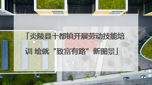 炎陵县十都镇开展劳动技能培训 绘就“致富有路”新图景