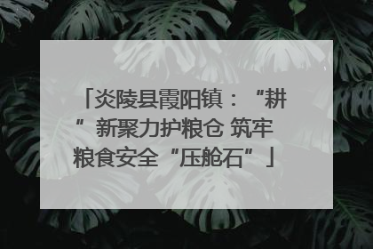 炎陵县霞阳镇：“耕”新聚力护粮仓 筑牢粮食安全“压舱石”