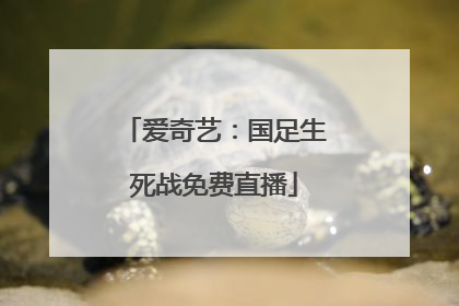 爱奇艺：国足生死战免费直播