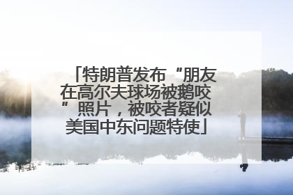 特朗普发布“朋友在高尔夫球场被鹅咬”照片，被咬者疑似美国中东问题特使