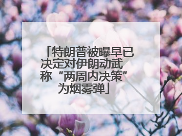 特朗普被曝早已决定对伊朗动武 称“两周内决策”为烟雾弹