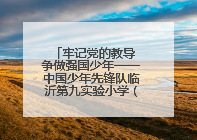 牢记党的教导 争做强国少年——中国少年先锋队临沂第九实验小学（北校区）第三次代表大会胜利召开