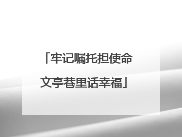 牢记嘱托担使命 文亭巷里话幸福