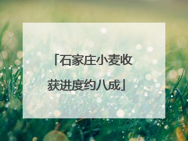 石家庄小麦收获进度约八成