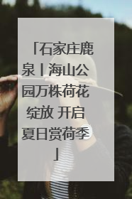 石家庄鹿泉丨海山公园万株荷花绽放 开启夏日赏荷季