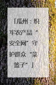 瓜州：织牢农产品“安全网”守护群众“菜篮子”