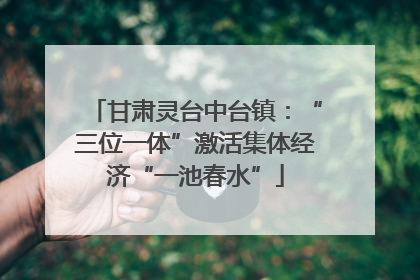 甘肃灵台中台镇：“三位一体”激活集体经济“一池春水”