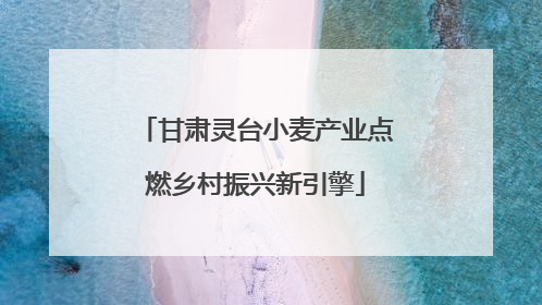 甘肃灵台小麦产业点燃乡村振兴新引擎
