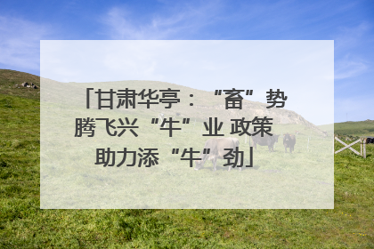 甘肃华亭：“畜”势腾飞兴“牛”业 政策助力添“牛”劲