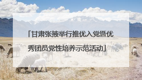 甘肃张掖举行推优入党暨优秀团员党性培养示范活动