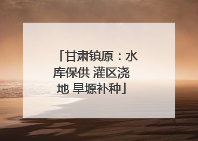 甘肃镇原：水库保供 灌区浇地 旱塬补种