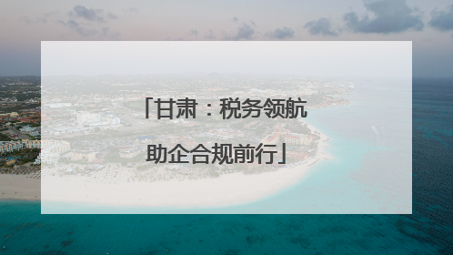 甘肃：税务领航 助企合规前行