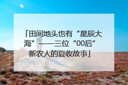 田间地头也有“星辰大海”——三位“00后”新农人的夏收故事