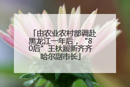 由农业农村部调赴黑龙江一年后，“80后”王杕履新齐齐哈尔副市长