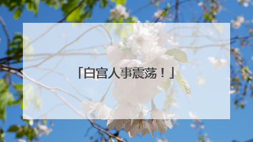 白宫人事震荡！