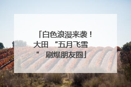 白色浪漫来袭！大田 “五月飞雪” 刷爆朋友圈