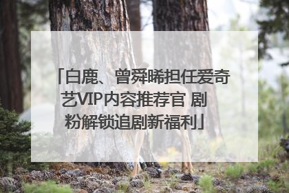 白鹿、曾舜晞担任爱奇艺VIP内容推荐官 剧粉解锁追剧新福利