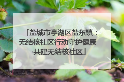 盐城市亭湖区盐东镇：无结核社区行动守护健康 ·共建无结核社区