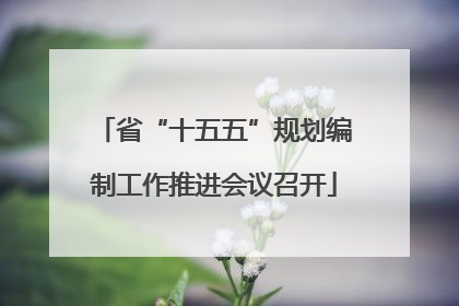 省“十五五”规划编制工作推进会议召开