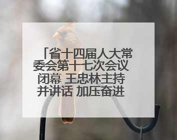 省十四届人大常委会第十七次会议闭幕 王忠林主持并讲话 加压奋进狠抓落实 全力推动支点建设成势见效