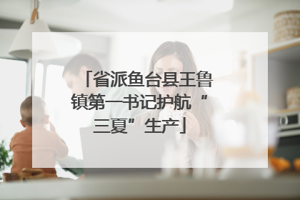 省派鱼台县王鲁镇第一书记护航“三夏”生产