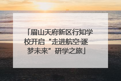 眉山天府新区行知学校开启“走进航空·逐梦未来”研学之旅