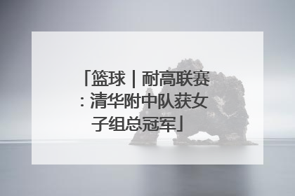 篮球｜耐高联赛：清华附中队获女子组总冠军