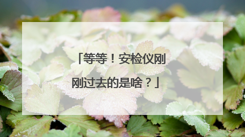 等等！安检仪刚刚过去的是啥？