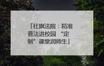 社旗法院：精准普法进校园 “定制”课堂润师生