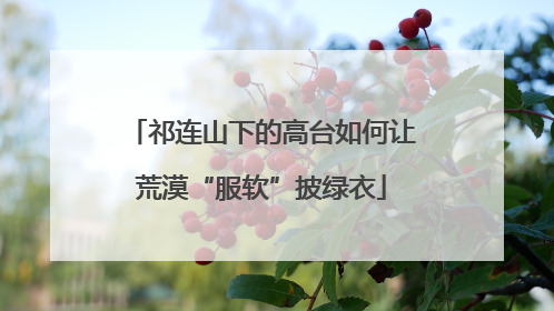 祁连山下的高台如何让荒漠“服软”披绿衣