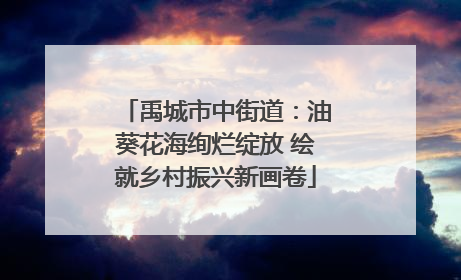 禹城市中街道：油葵花海绚烂绽放 绘就乡村振兴新画卷