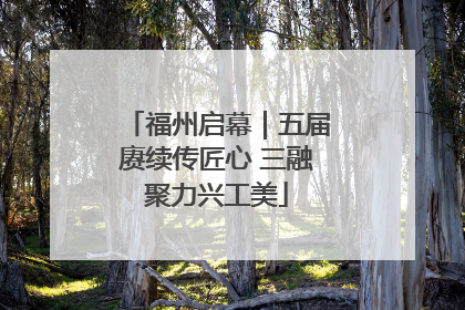 福州启幕｜五届赓续传匠心 三融聚力兴工美