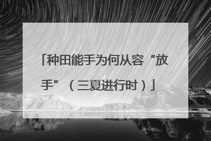 种田能手为何从容“放手”（三夏进行时）