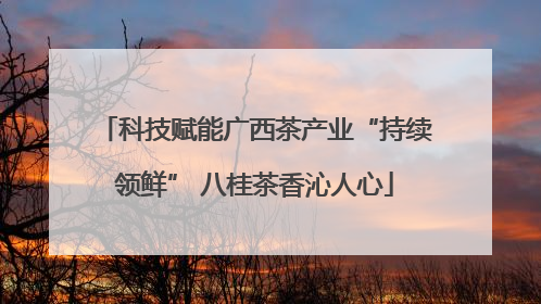 科技赋能广西茶产业“持续领鲜” 八桂茶香沁人心