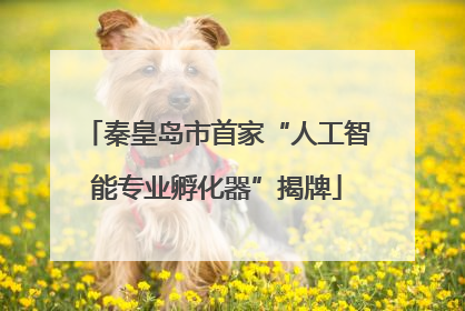 秦皇岛市首家“人工智能专业孵化器”揭牌