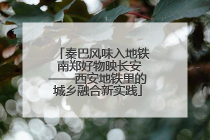 秦巴风味入地铁 南郑好物映长安——西安地铁里的城乡融合新实践