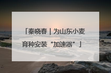 秦晓春｜为山东小麦育种安装“加速器”