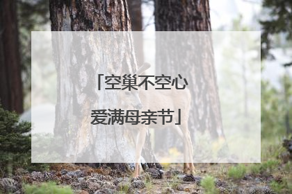 空巢不空心 爱满母亲节