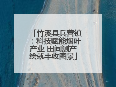 竹溪县兵营镇：科技赋能烟叶产业 田间测产绘就丰收图景
